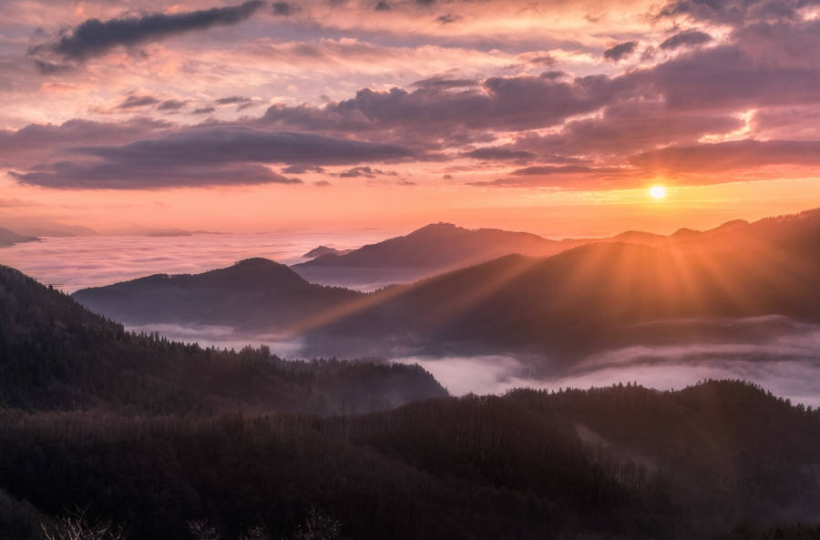 Pričevati iz globin Kristusovega srca
